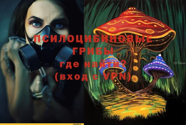 apvp Белокуриха