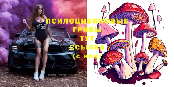 apvp Белокуриха