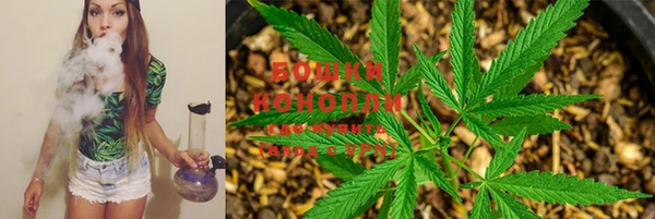 apvp Белокуриха