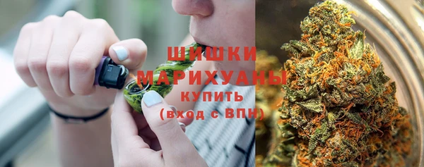 apvp Белокуриха
