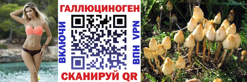 Псилоцибиновые грибы Cubensis  hydra зеркало  Малмыж 